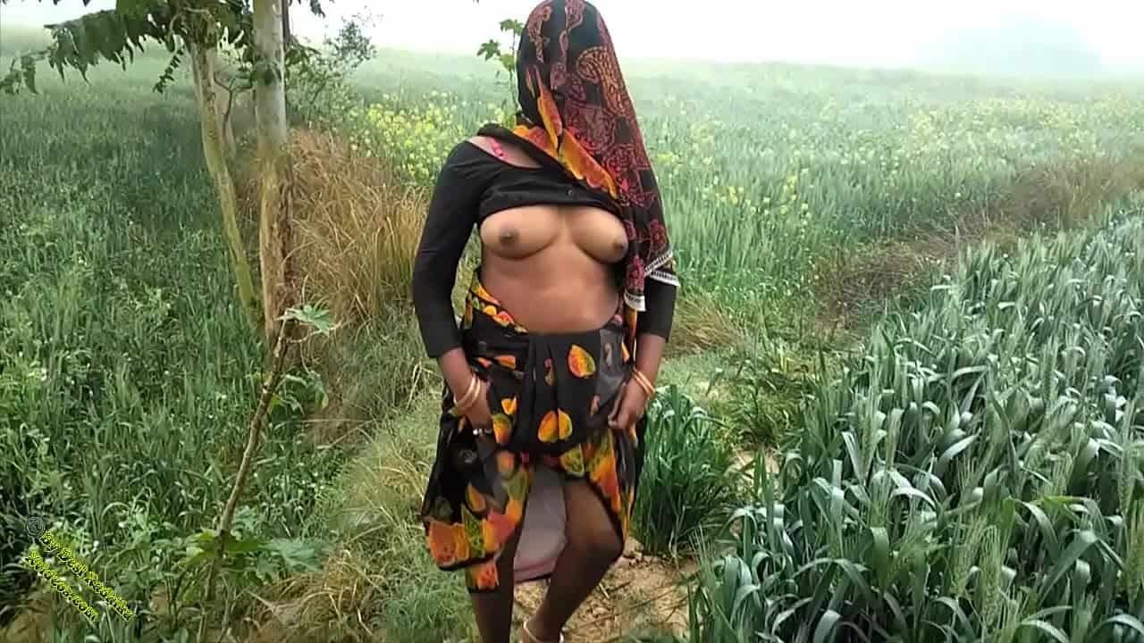 Indian desi xxx village outdoor sex hd porn video