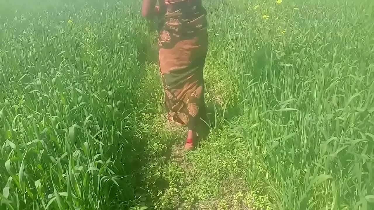 भाभी की मखमली चूत चुदाई गेहूँ की खेत में देहाती विडियो